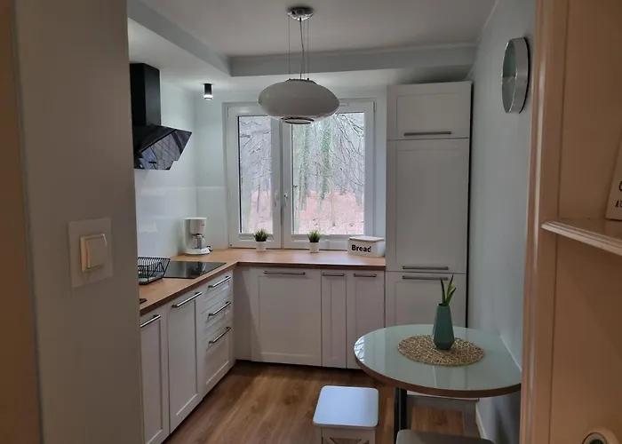 Lägenhet Dream-65m2 Blisko Morza